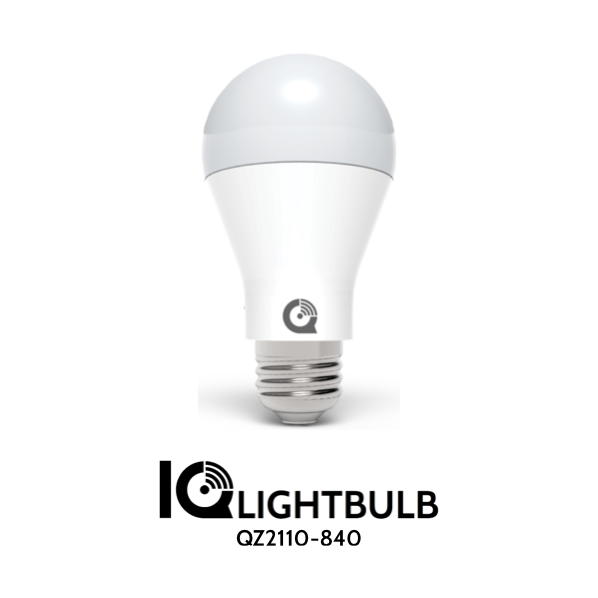 IQ-IQ-Lightbulb-4-MEDIUM