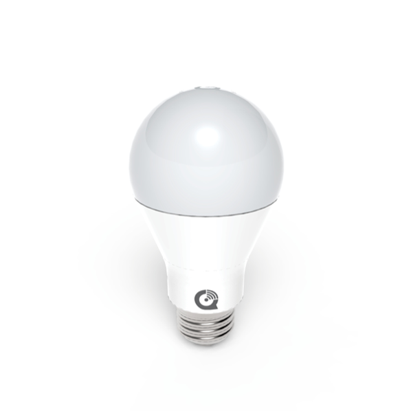 IQ-IQ-Lightbulb-5-MEDIUM