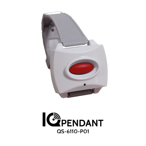 IQ-IQ-Pendant-2-MEDIUM